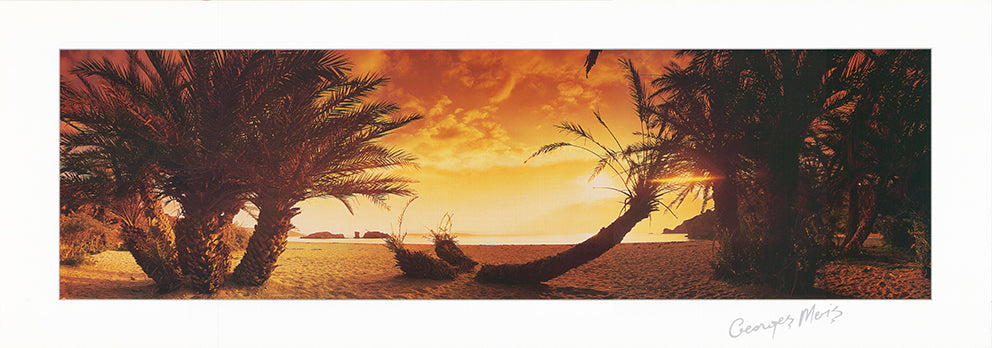 George Meis P 1504 100x35cm paper - Chamton