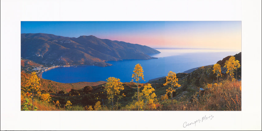 George Meis LP 1650 100x50cm paper - Chamton