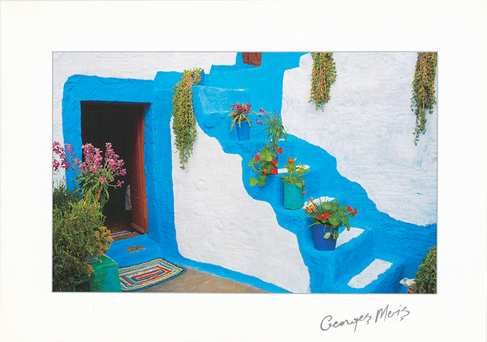 George Meis C 366 50x35cm paper - Chamton