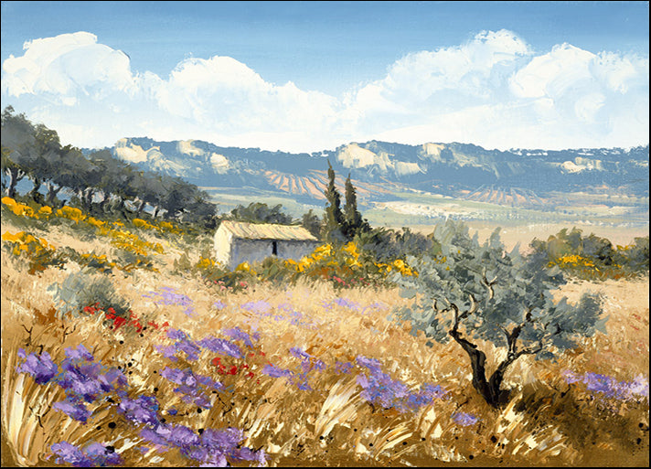 71390 Untitled, by Gizzi, available in multiple sizes - Chamton