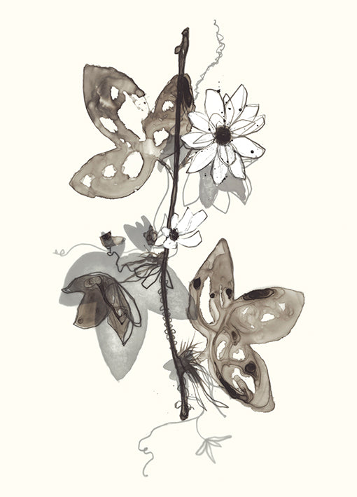 98974 Transparent Floral 3, by Goderwis, available in multiple sizes - Chamton