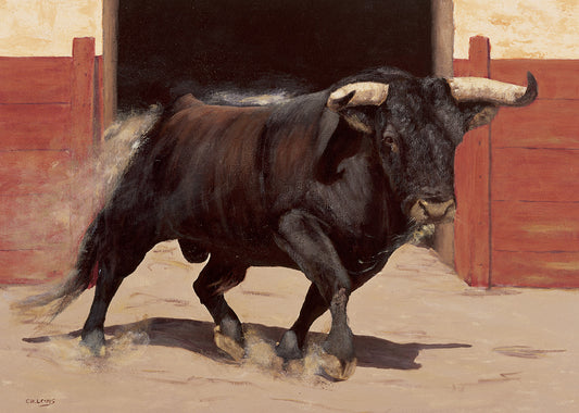 H3073 Bull Fight, available in multiple sizes - Chamton