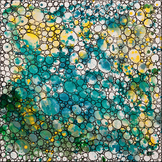 HILWIN177876 Dimension 9, available in multiple sizes