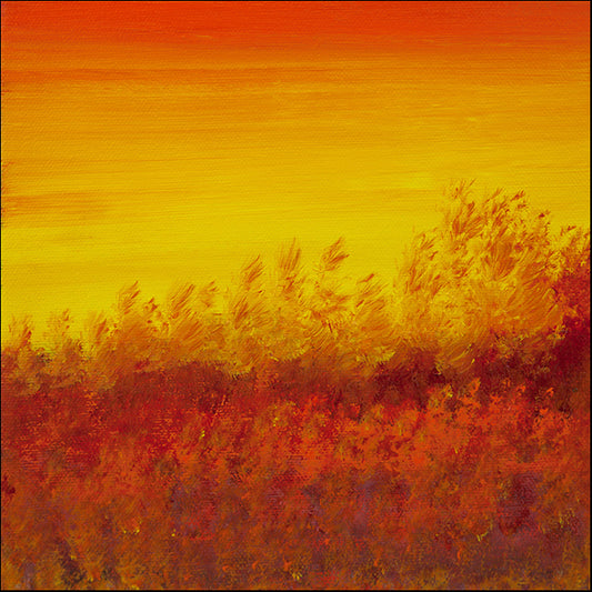 HILWIN178012 Views of Nature 12, available in multiple sizes