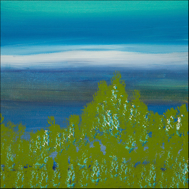 HILWIN178017 Views of Nature 17, available in multiple sizes