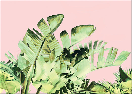 HW084-A Tropical Velvet III, available in multiple sizes