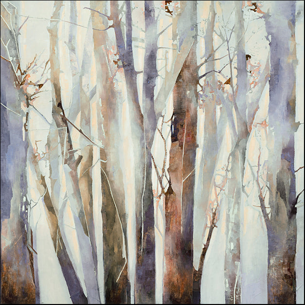 98689 Misty Trees, by Harvey, available in multiple sizes