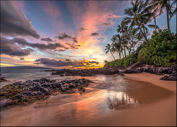81205442 Hawaiian Sunset Wonder, available in multiple sizes