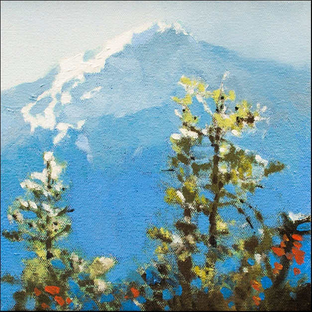 91426 Hurricane Ridge, by Hayslette, available in multiple sizes - Chamton