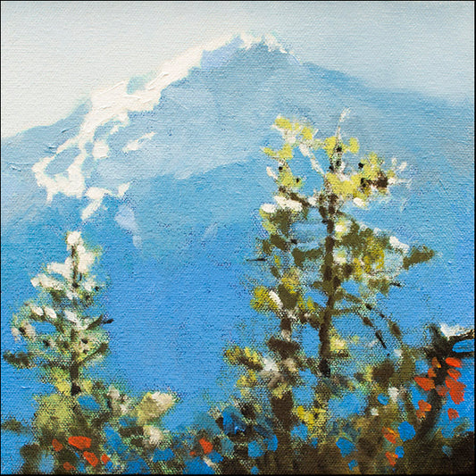 91426 Hurricane Ridge, by Hayslette, available in multiple sizes - Chamton