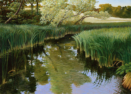 72226 Cattail Creek, by Henning, available in multiple sizes - Chamton