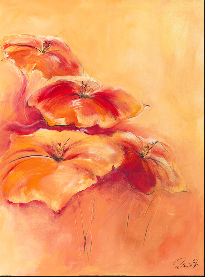 IG3040 Flowers 2 by Rita Marks 60x80cm on paper - Chamton
