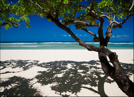 ISTNAG128824 Shadows on the Beach, by István Nagy, available in multiple sizes