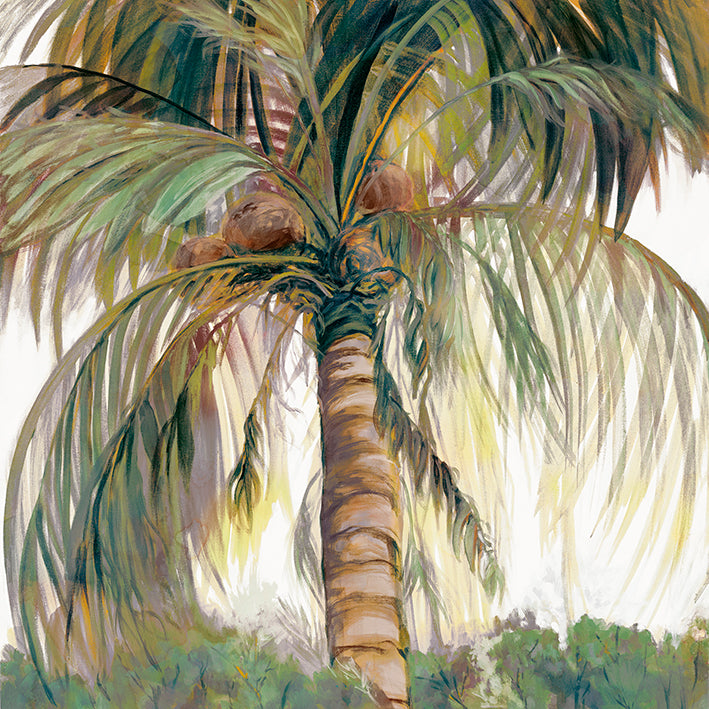 JF011-A Tropics II , available in multiple sizes