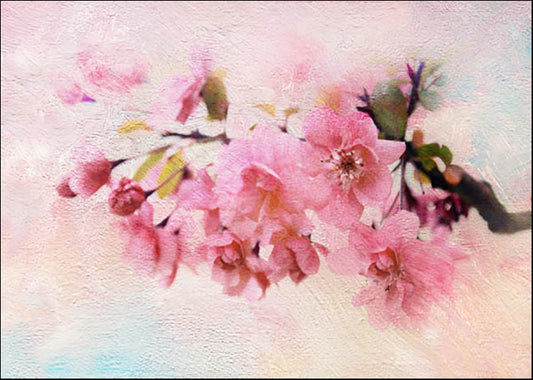 JJ112-A  Apple Blossom, available in multiple sizes