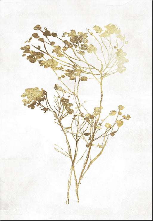 JN077-A Gold Botanical II, available in multiple sizes
