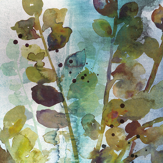 JN089-A Within II available in multiple sizes