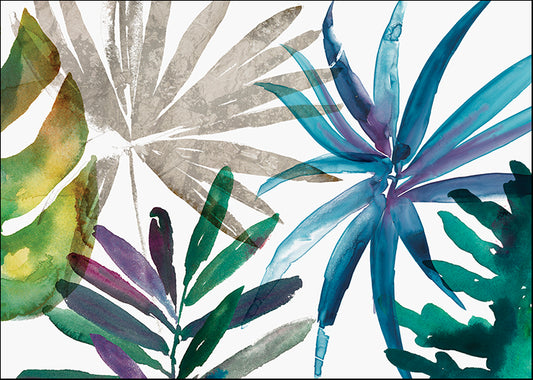JN106-A Tropic Sway II, available in multiple sizes
