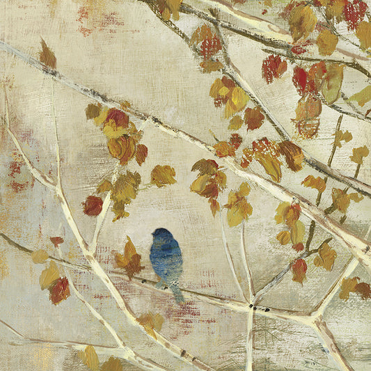 JNN40 Singing II, available in multiple sizes