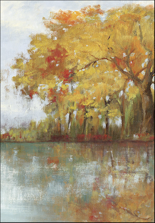 JNN57 Forest Reflection I, available in multiple sizes - Chamton