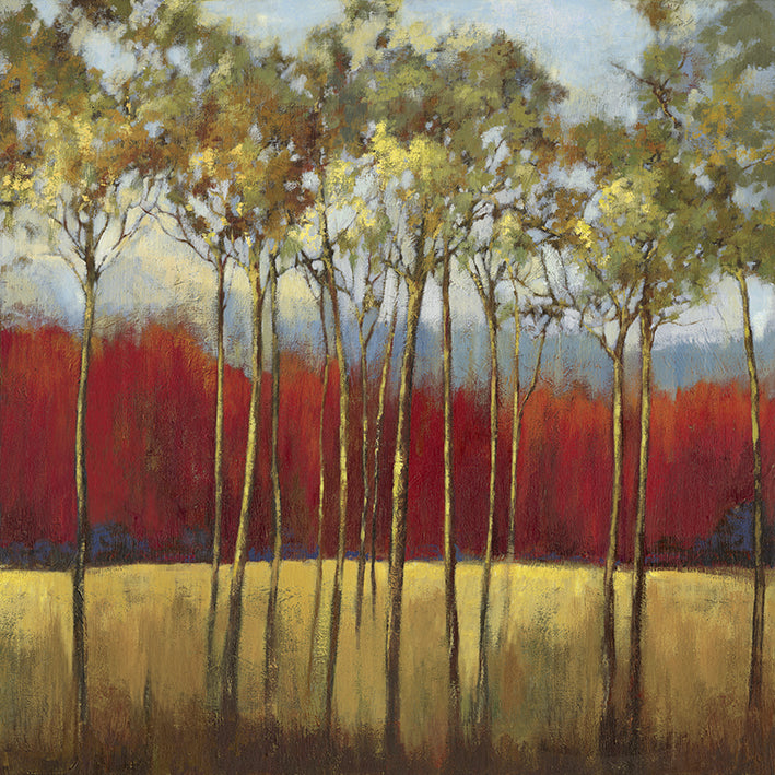 JNN62-M, In the Horizon I, available in multiple sizes - Chamton