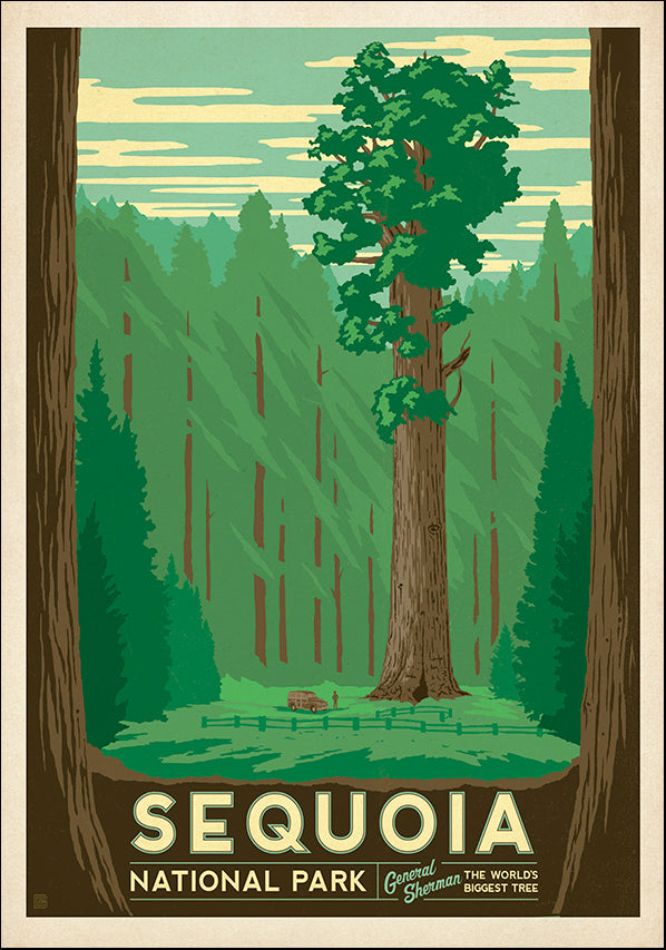 JOEAND116291 Sequoia National Park, available in multiple sizes - Chamton
