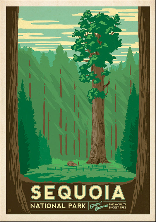 JOEAND116291 Sequoia National Park, available in multiple sizes - Chamton