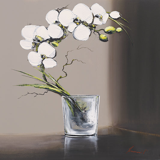 K242 Living in a Glass II, available in multiple sizes - Chamton