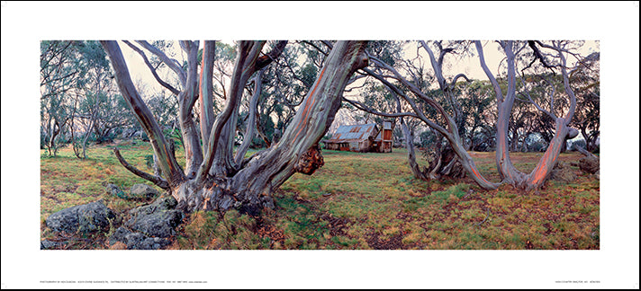 Ken Duncan KDNC003 High Country Shelter 91x41cm paper - Chamton