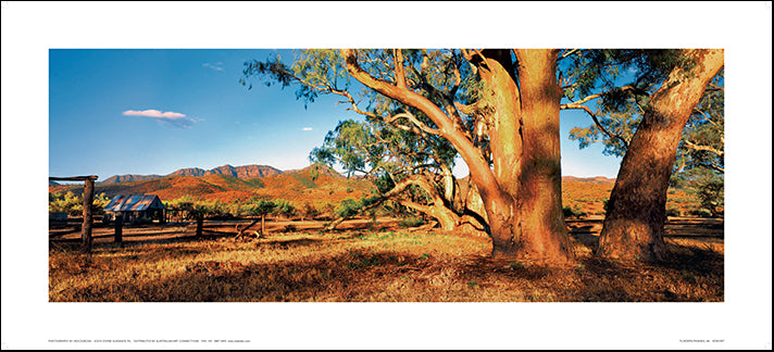 Ken Duncan KDNC007 Flinders Ranges 91x41cm paper - Chamton
