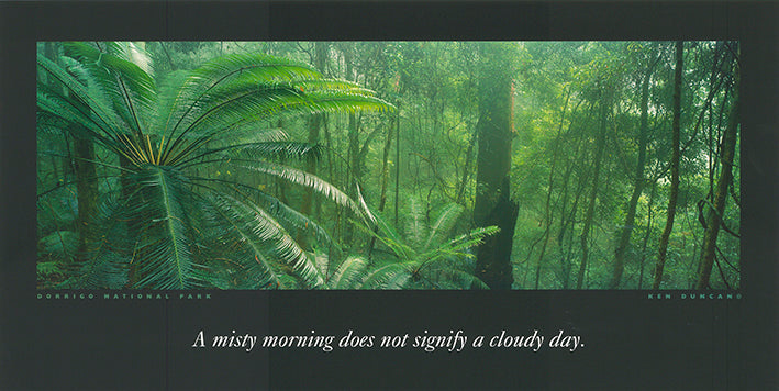Ken Duncan KDI305 Dorrigo National Park 60x30cm paper - Chamton
