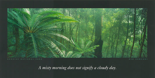 Ken Duncan KDI305 Dorrigo National Park 60x30cm paper - Chamton