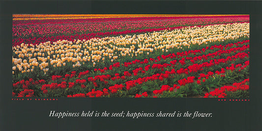 Ken Duncan KDI310 Field of Rainbows 60x30cm paper - Chamton