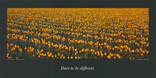 Ken Duncan KDI319 Tulip Field 60x30cm paper - Chamton