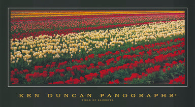 Ken Duncan KDC141 Field of Rainbows 90x50cm paper - Chamton