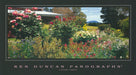 Ken Duncan KDC197 Country Garden 90x50cm paper - Chamton