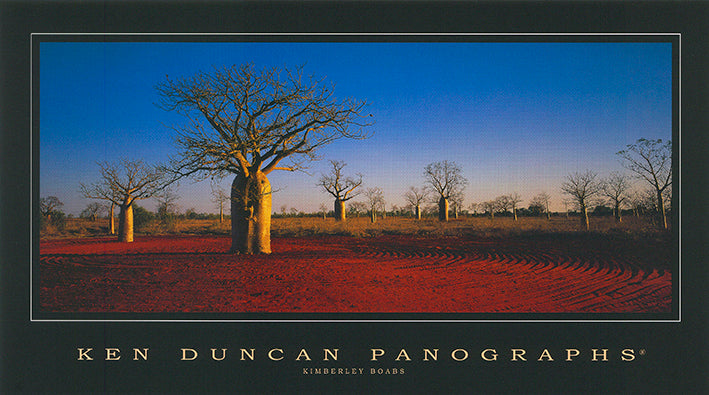 Ken Duncan KDM410 Kimberly Boabs 40x22cm paper - Chamton