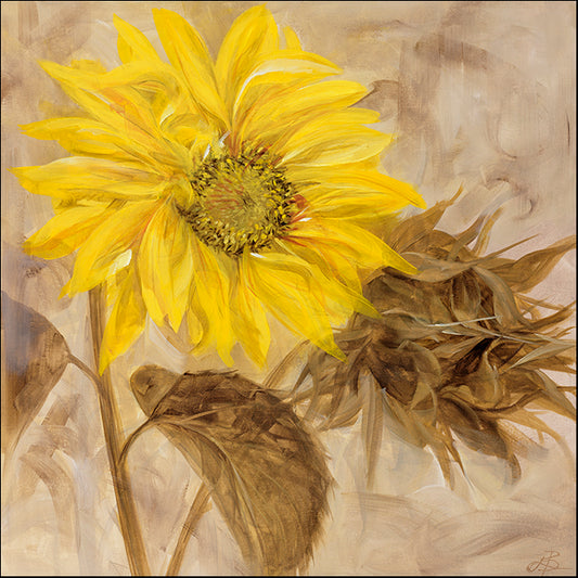 LIBO105395 Sunflower Stance I, available in multiple sizes