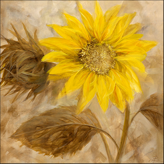 LIBO105397 Sunflower Stance III, available in multiple sizes
