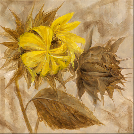 LIBO105398 Sunflower Stance IV, available in multiple sizes