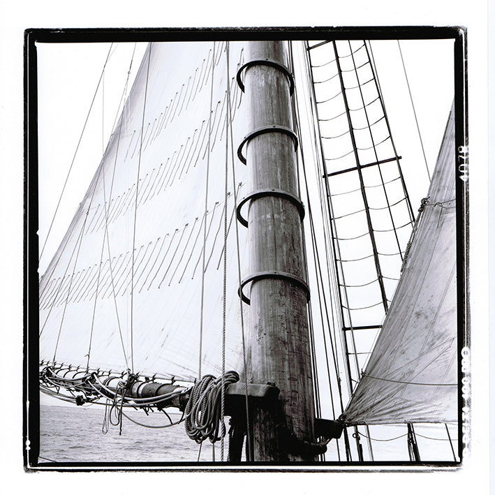 LU036-A, Sails Sway IV, available in multiple sizes