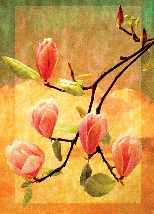72460 Magnolia Blossoms, by Landreth, available in multiple sizes