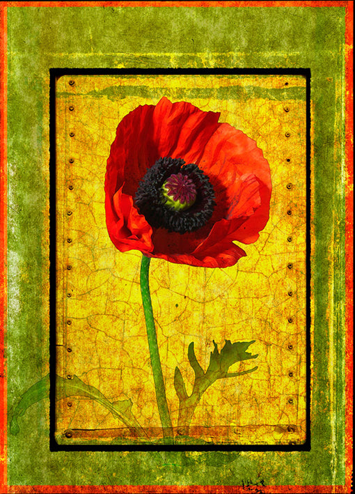 Landreth,72931 Poppy, by Doug Landreth, available in multiple sizes