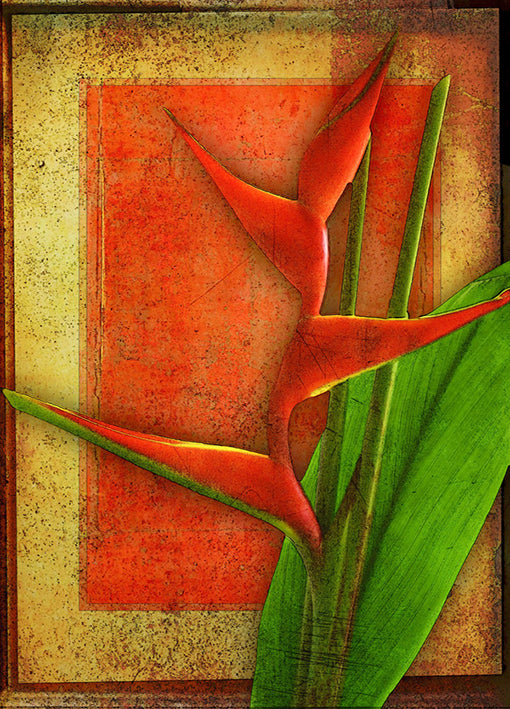 Landreth,72938 Heliconia, by Doug Landreth, available in multiple sizes