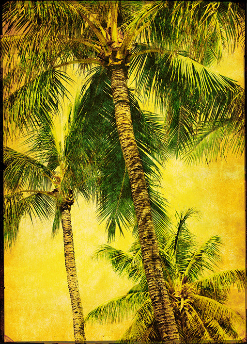 76437 Palm Series III, by Landreth, available in multiple sizes