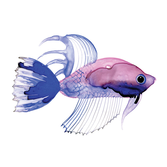 MBG01-M, Purple Fish , available in multiple sizes