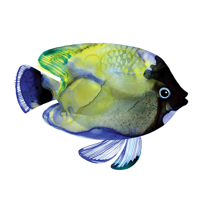 MBG03-M , Green Fish available in multiple sizes