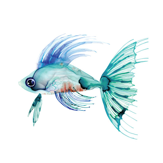 MBG04-M, Teal Fish , available in multiple sizes