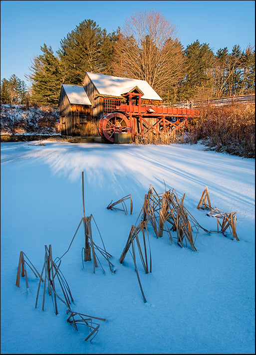MICBLA141940 Pond Grasses, by Michael Blanchette Photography, available in multiple sizes