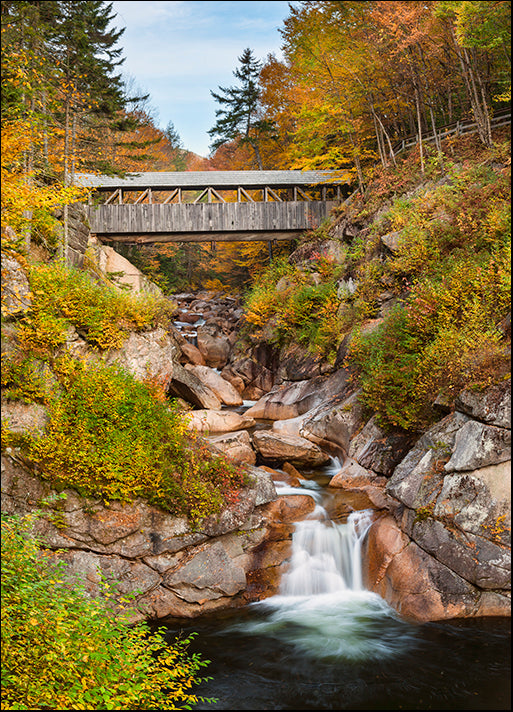 MICBLA141946 Sentinel Pine Bridge, by Michael Blanchette Photography, available in multiple sizes - Chamton
